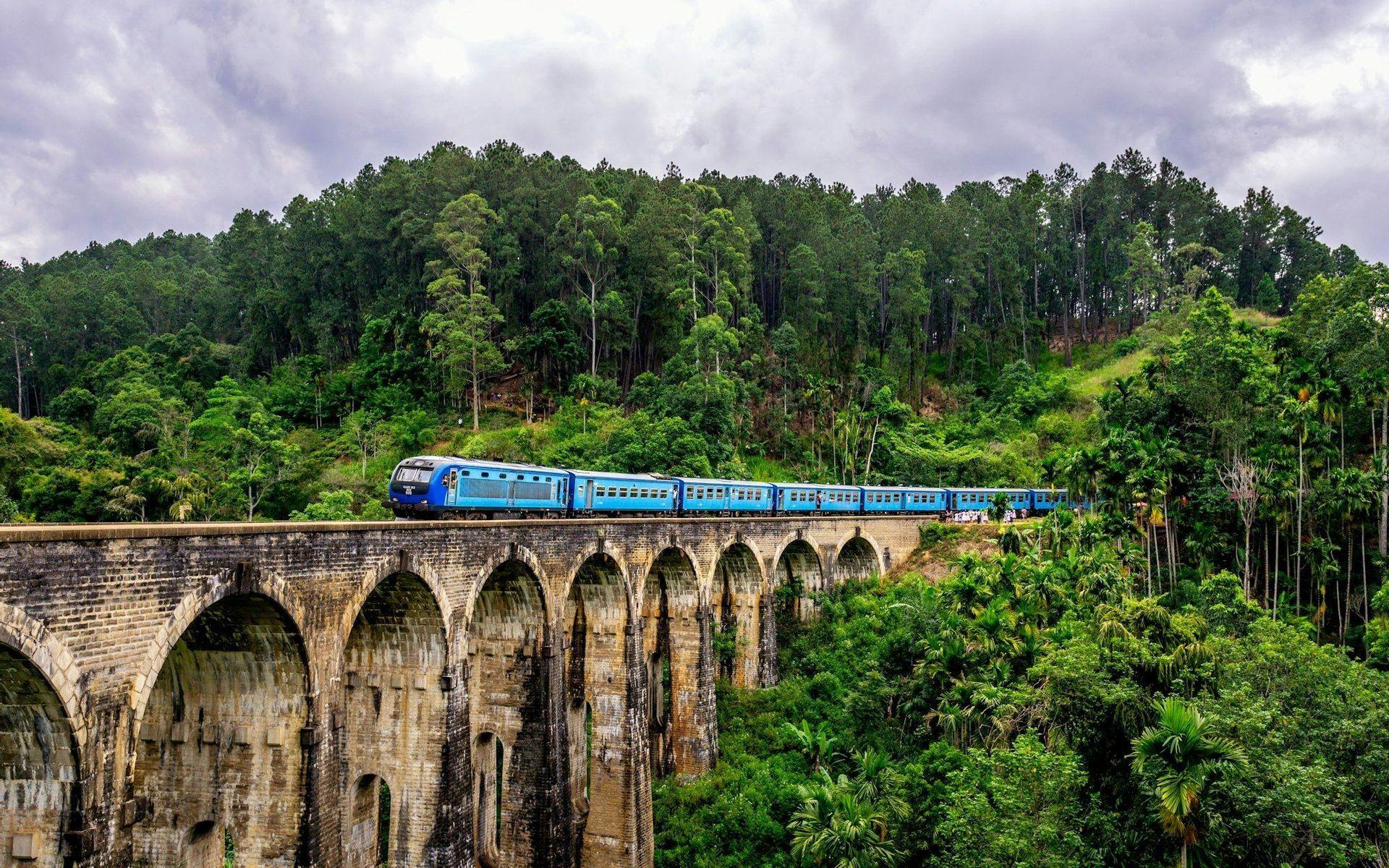 A blue train travels across a large stone arch bridge surrounded by a lush, green forest under a cloudy sky.