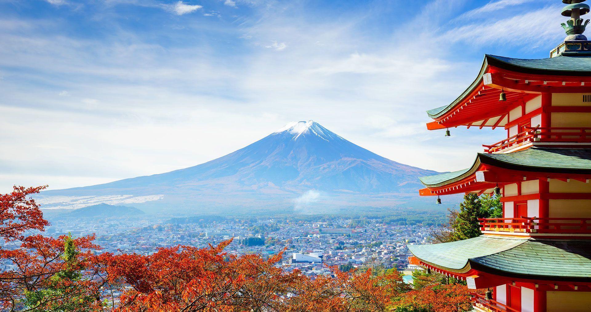 Group trips to Japan