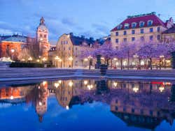 Manicured park plaza lined with cherry blossom trees, lit up at night