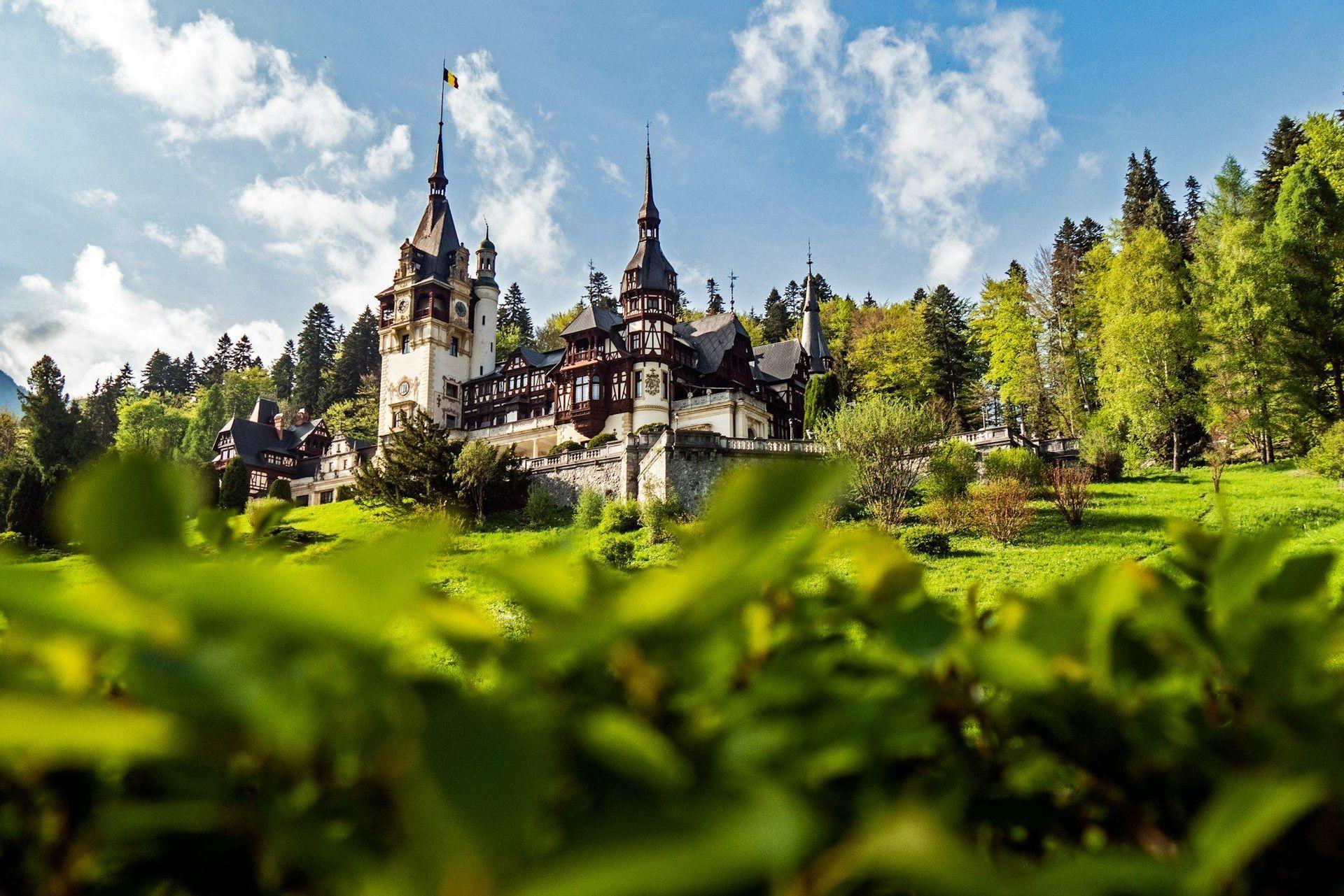 An ornate castle with multiple spires stands on a green, forested hillside under a partly cloudy blue sky, viewed from behind blurred foliage.
