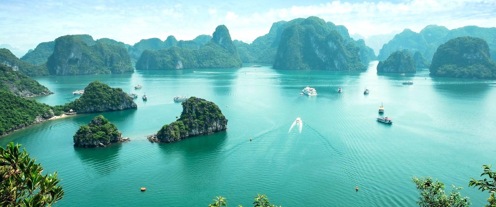 Group trips to Vietnam