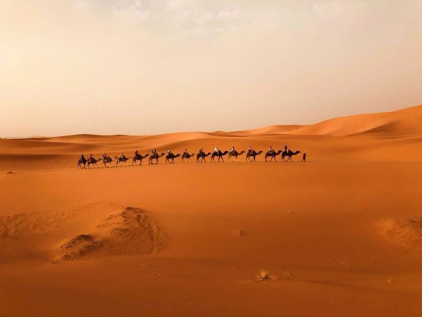 A WeRoad group trip riding in a camel caravan across vast orange sand dunes in the desert.
