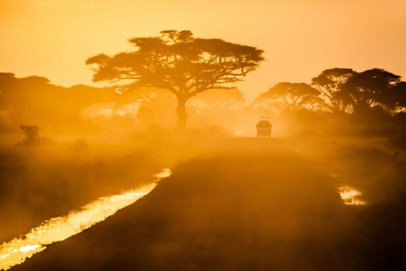 When is the Best Time to Visit South Africa?